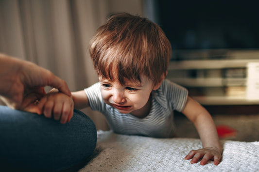 Toddler Tantrum Survival Guide